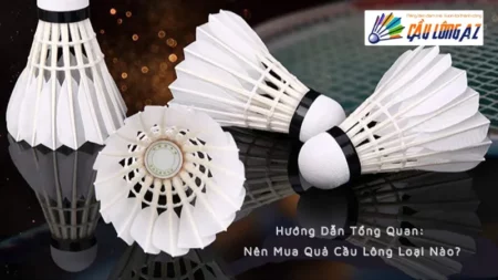 Hướng Dẫn Tổng Quan: Nên Mua Quả Cầu Lông Loại Nào?