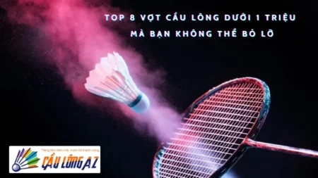 Top 8 Vợt Cầu Lông Dưới 1 Triệu Mà Bạn Không Thể Bỏ Lỡ