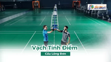 Vạch Tính Điểm Cầu Lông Đơn